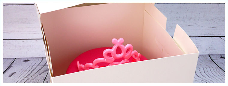 2 pieces Cake Boxes