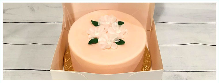 Regular White Cake Boxes 